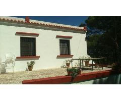 FINCA RUSTICA EN VENTA, LA PUEBLA DEL RIO. VP103