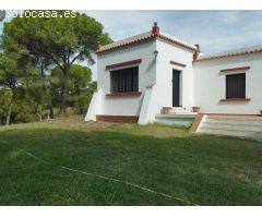FINCA RUSTICA EN VENTA, LA PUEBLA DEL RIO. VP103