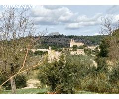 Se vende finca rústica en Calvia Pueblo