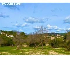 Se vende finca rústica en Calvia Pueblo