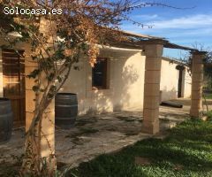 Se vende finca en sencelles con 21.000 metros de terreno y casa principal y de invitados