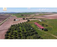 Finca de 22 Hectáreas con proyecto aprobado para hacer casas rurales