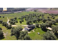 Finca de 22 Hectáreas con proyecto aprobado para hacer casas rurales