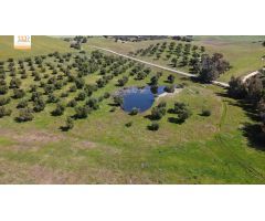Finca de 22 Hectáreas con proyecto aprobado para hacer casas rurales