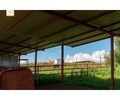 Finca de 22 Hectáreas con proyecto aprobado para hacer casas rurales