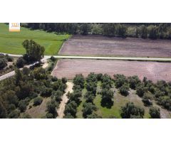 Finca de 22 Hectáreas con proyecto aprobado para hacer casas rurales