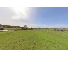 inmobrain.com vende 2 parcelas rusticas en Zarzalejo, Madrid de 2.972 m2 y de 1.798 m2