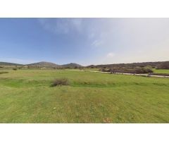 inmobrain.com vende 2 parcelas rusticas en Zarzalejo, Madrid de 2.972 m2 y de 1.798 m2