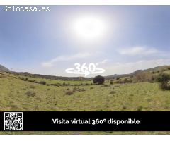 inmobrain.com vende 2 parcelas rusticas en Zarzalejo, Madrid de 2.972 m2 y de 1.798 m2