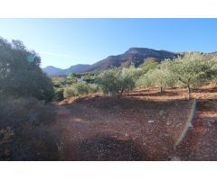 TERRENO RÚSTICO CON VISTAS PANORAMICAS A LA SIERRA DE ALHAURIN EL GRANDE