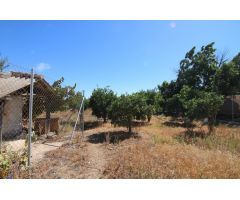 TERRENO RUSTICO CON ALMACÉN DE 48M