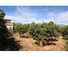 TERRENO RUSTICO CON ALMACÉN DE 48M