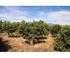 TERRENO RUSTICO CON ALMACÉN DE 48M