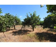 TERRENO RUSTICO CON ALMACÉN DE 48M