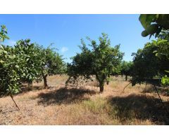 TERRENO RUSTICO CON ALMACÉN DE 48M