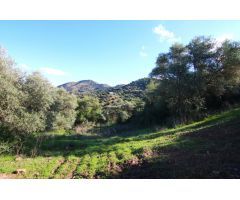 PRECIOSO TERRENO CON VISTAS DESPEJADAS