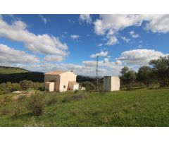 TERRENO RÚSTICO CON VIVIENDA
