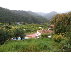 Finca con Vivienda, Piscina y Producción de Aguacates en la idílica zona de Barranco Blanco, Coín