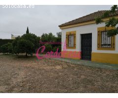 Parcela en Venta en Villaviciosa de Córdoba, Córdoba