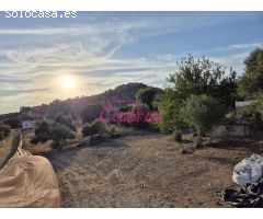 MAGNIFICO TERRENO CON PISCINA Y TRASTERO EN ALCOLEA!!!
