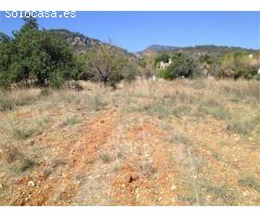 TERRENO RUSTICO EN ALARÓ