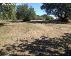 TERRENO RUSTICO EN ALARÓ