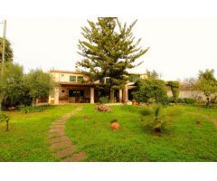Espectacular Casa en Llubí