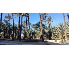 ¡GRAN OPORTUNIDAD! LOCAL EN VENTA A UN PASO DEL CENTRO DE ELCHE