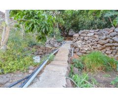 Finca rústica con árboles frutales en Cercados de Espino