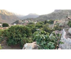 Finca rústica con árboles frutales y vivienda  en Barranquillo Andrés