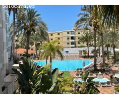 Apartamento - estudio reformado en Playa del Inglés