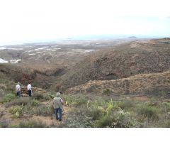 Finca Rustica Arico