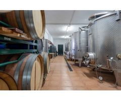 ESPECTACULAR FINCA  EN DUDAR