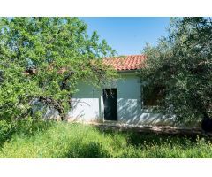 FINCA RÚSTICA EN FUENTE LOBO, CARRETERA DE LA SIERRA