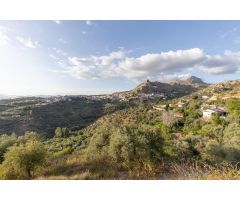 Se vende parcela urbana en Cogollos Vega