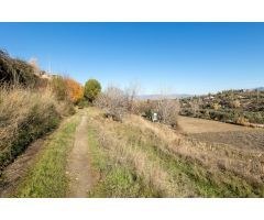 MAGNÍFICA FINCA JUNTO URBANIZACIÓN MOLINO ALTO