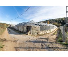 FINCA DE LABRANZA EN ARENAS DEL REY