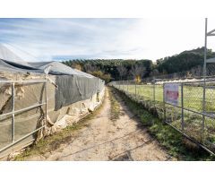 FINCA DE LABRANZA EN ARENAS DEL REY