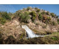 VENTA DE BONITA FINCA EN EL PARAJE DE LA CHAPARRA (LANJARÓN)