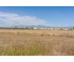 GANGA!!! EXCELENTE PARCELA EN SANTA FE (GRANADA). 76.000 € (801 m2).