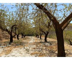 Finca de Recreo en Cozvijar