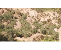 Finca rustica en el Valle de Lecrín