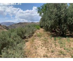 FINCA RUSTICA  LANJARON