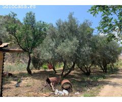 FINCA RUSTICA  LANJARON