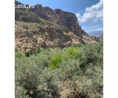FINCA RUSTICA  LANJARON