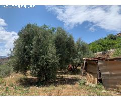 FINCA RUSTICA  LANJARON