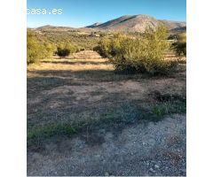 Terreno rústico en Cogollos Vega, con toma de luz y agua en la entrada
