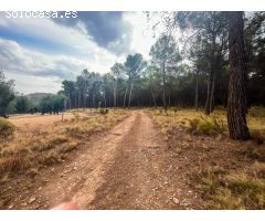 Finca Rústica en Iznalloz