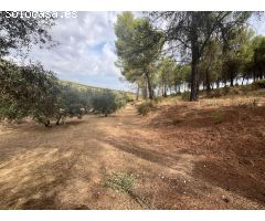 Finca Rústica en Iznalloz