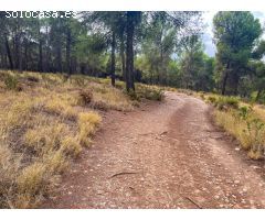 Finca Rústica en Iznalloz